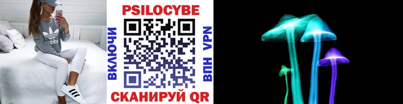 Псилоцибиновые грибы GOLDEN TEACHER  Кашин 